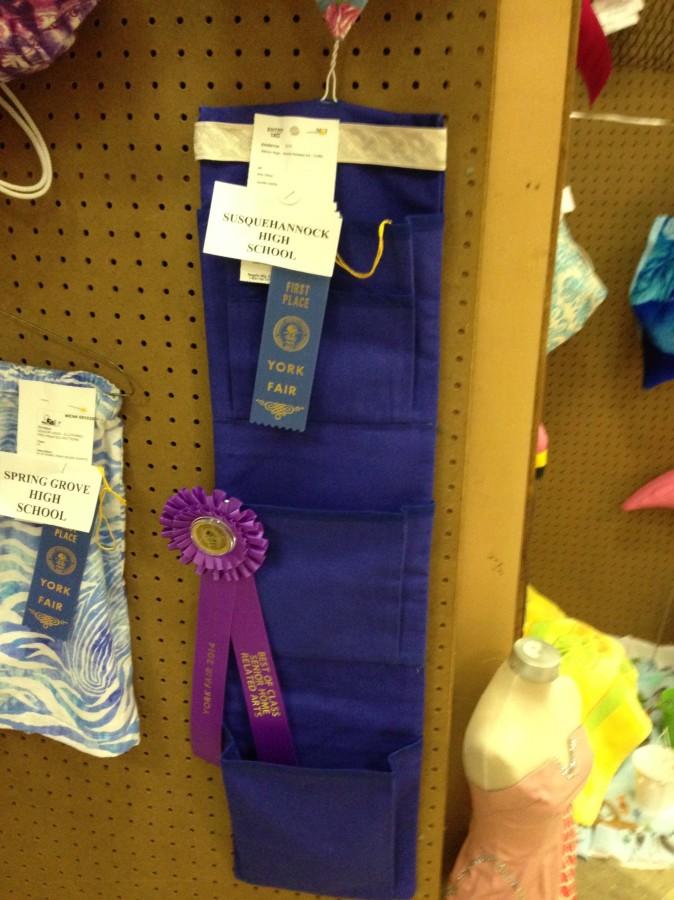 Students Contend for Ribbons at the York Fair