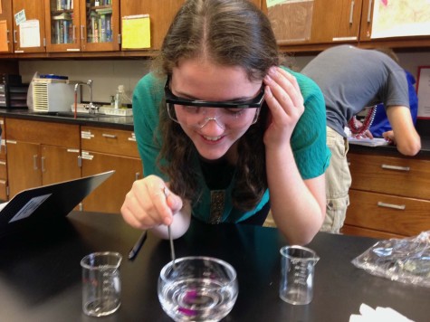 AP Courses Provide Beneficial Challenges