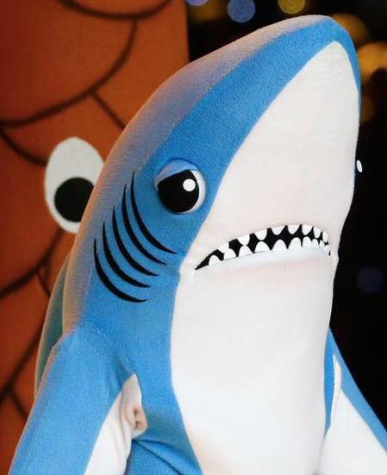 Left Shark tries desperately to dance with Katy Perry at the halftime show. Picture courtesy NBC and NFL.