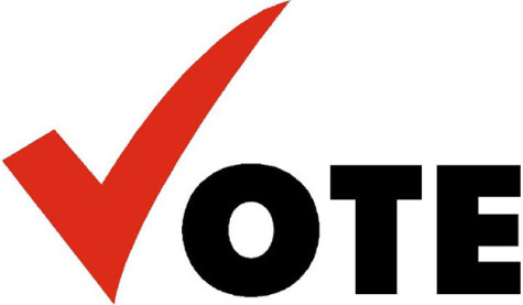 Student Council Members Run for Office