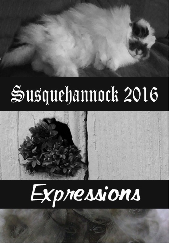Cover Photography by Derek Timlin, Kat Quinn, and Ashton Adams Thank you to Kat Quinn, Hannah Naylor, Jeff Brady and Mr. Leiphart as well as the SHS Courier Team for making this Literary Magazine possible.