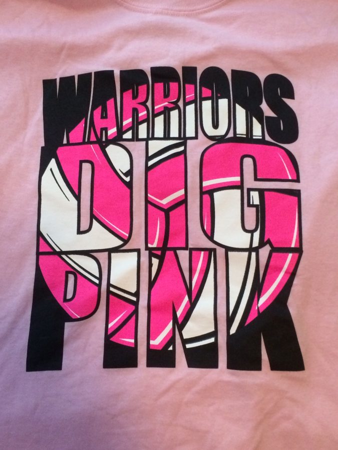 This is the Dig Pink shirt logo