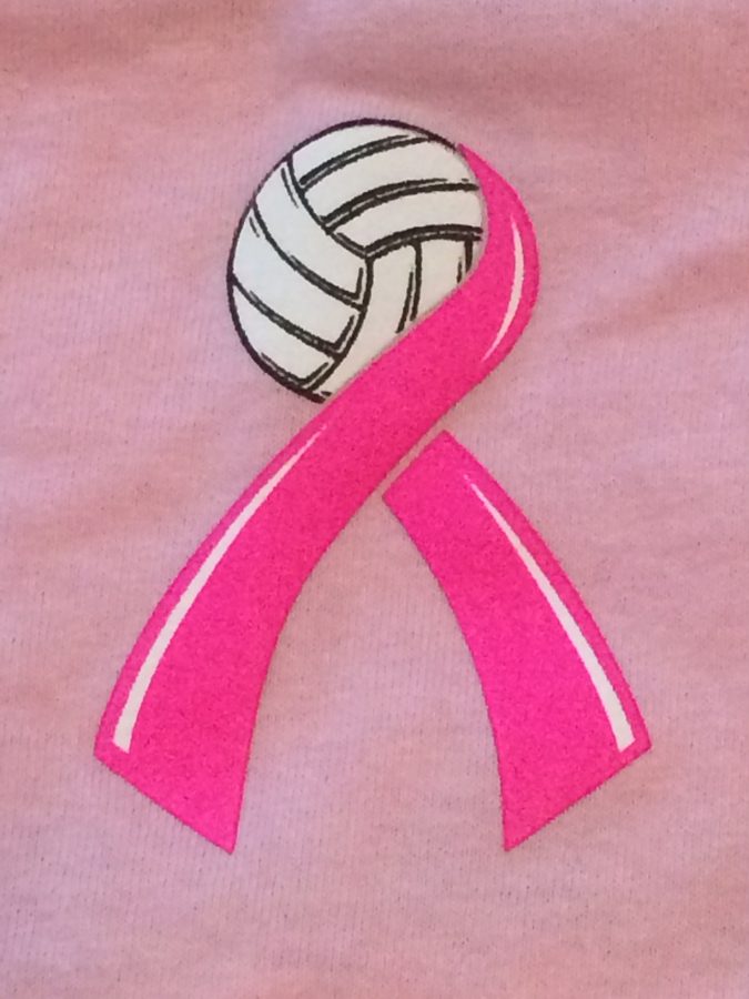 Girls Volleyball Hopes to Raise Funds at Dig Pink Game Tonight