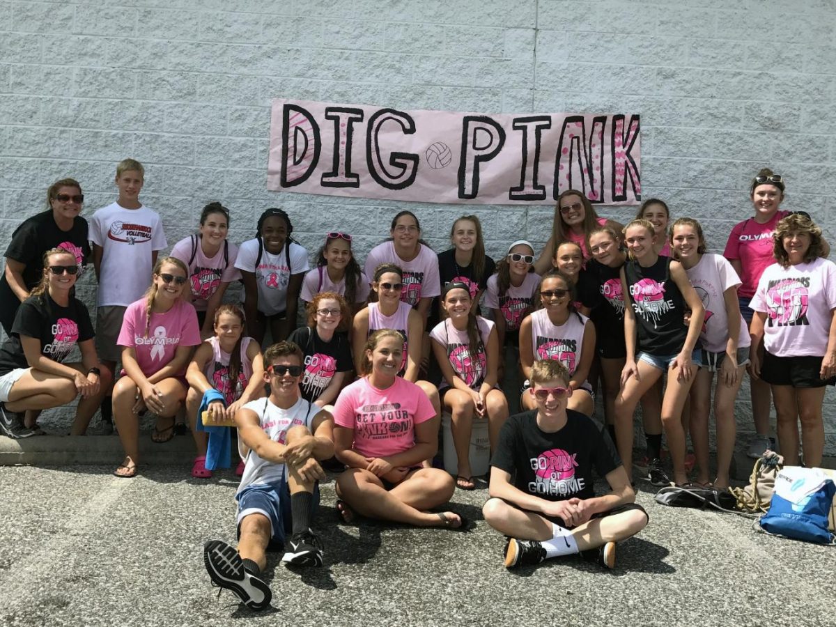 The Susquehannock Volleyball Team is raising funds for ‘Dig Pink.’