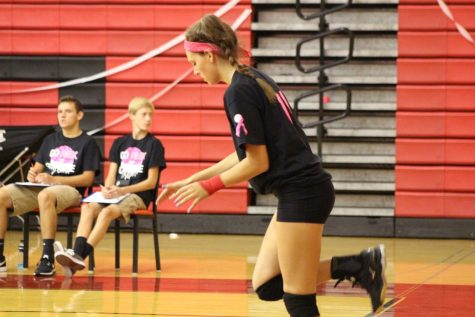 Susky Earns Athletic Achievements in 2017-2018 School Year