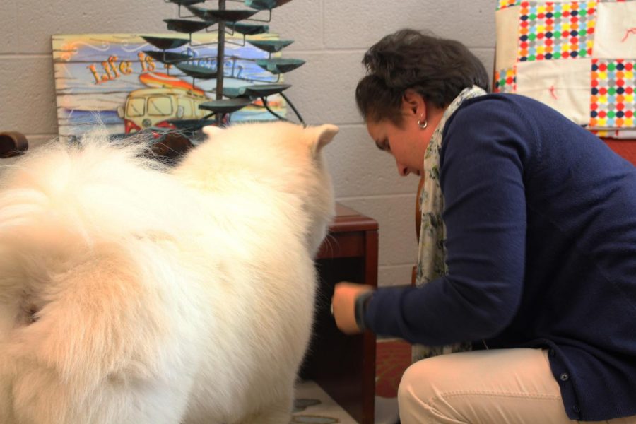 Corrdinator of social services Jill Platts feeds her therapy dog, Bodhi a treat. 