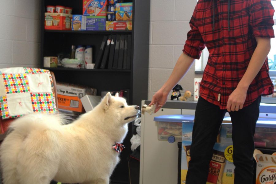 Senior Brett Flemmens lets Bodhi sniff his stuffed dog.