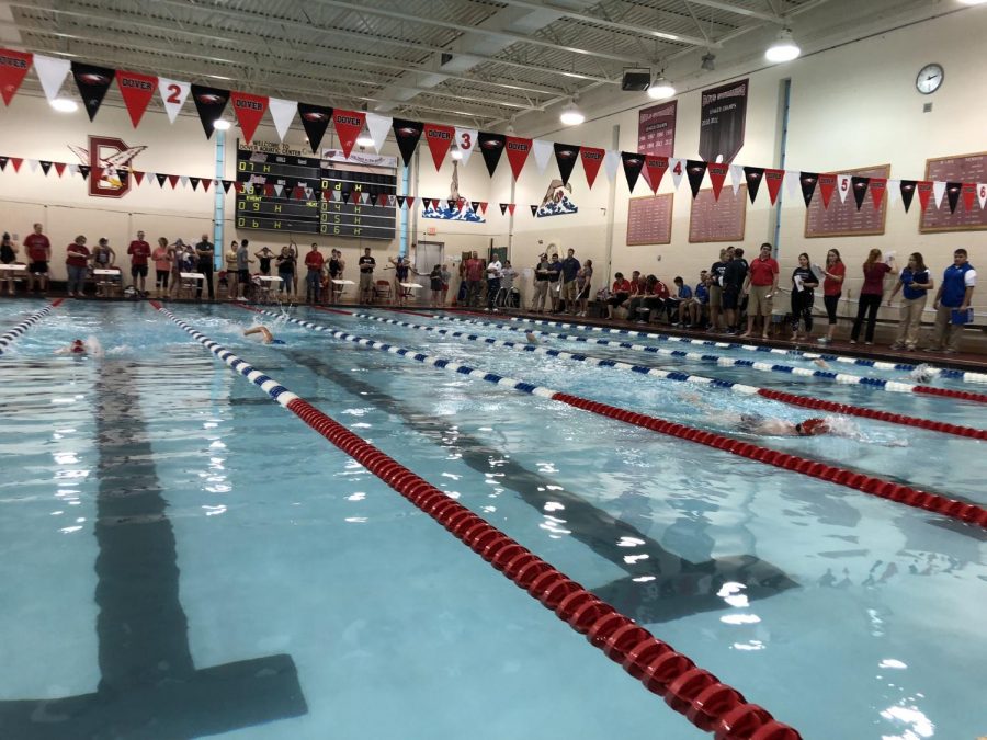 Swim Team Competes in District Championships