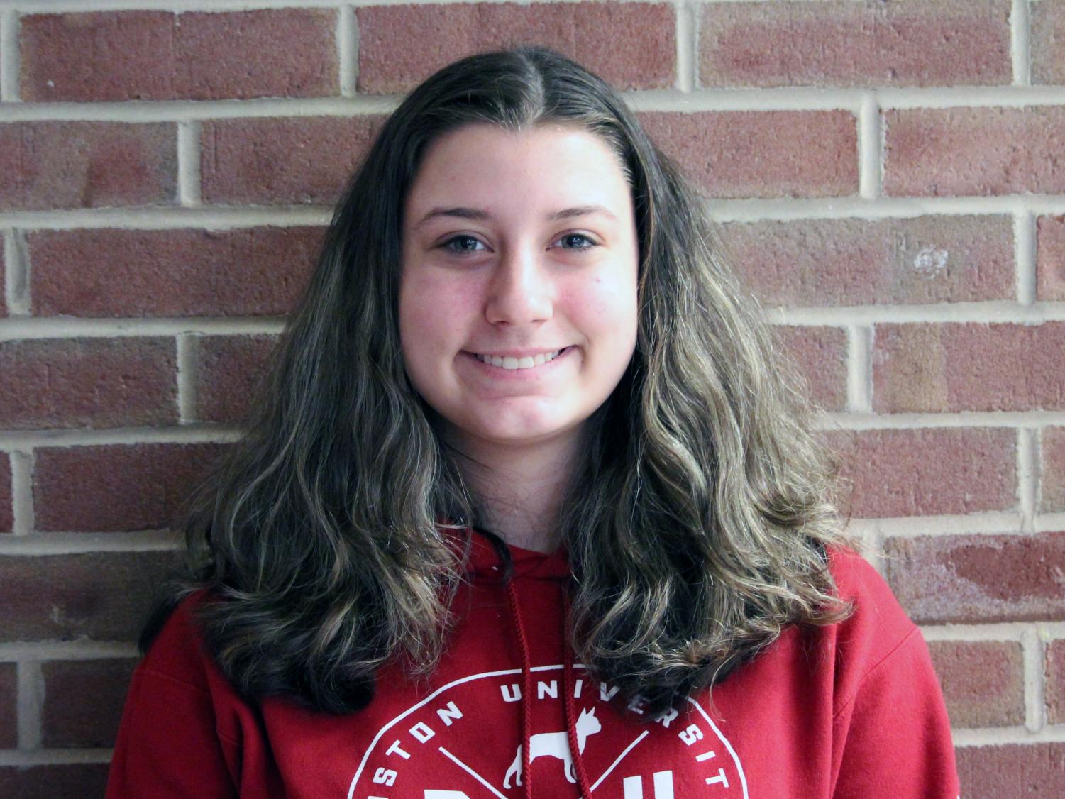 Susquehannock student Andrea Hebel earned a silver medal for journalism at the state level of the 2018 Scholastic Arts and Writing Contest.