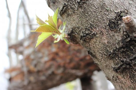 13 Tips on How YOU Can Help Save the Earth