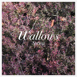 Wallows Impresses with New Spring EP