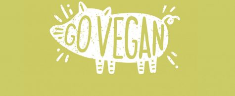 Plant-Powered: Why You Should Go Vegan