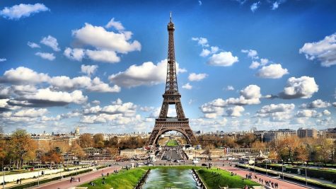 David Wentzel takes on France