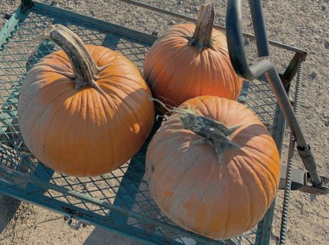 What People Love About Fall