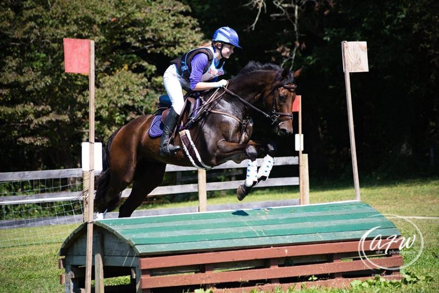 Gorham competes with her horse at one of the events she participates in. Photo courtesy of Grace Gorham