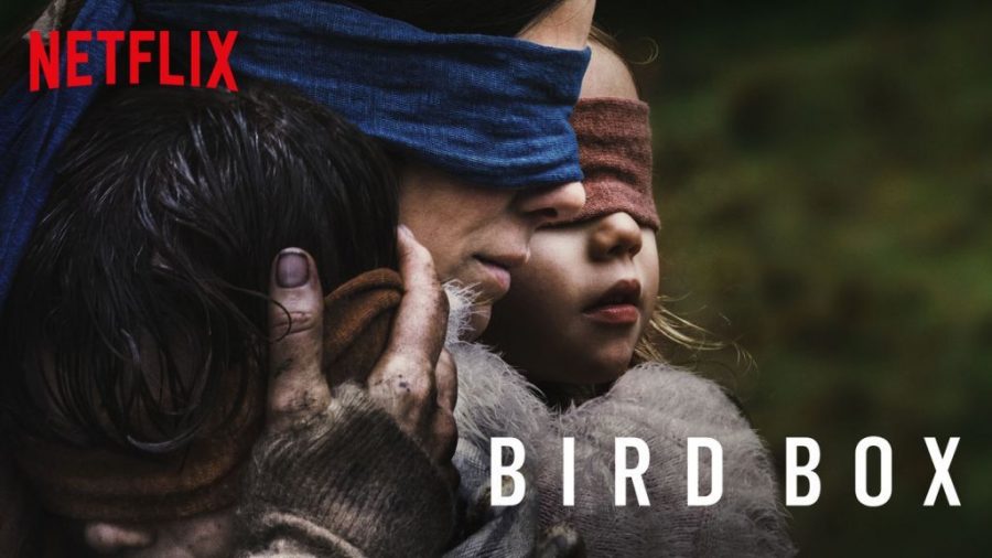 Netflix has revealed that the horror thriller #BirdBox has been watched over 80 million times. Photo courtesy of @Pop Crave via Twitter ‏