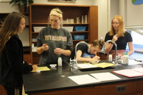 Senior Kylee Galante, senior Abby Martin, sophomore Sammy McQuaid and sophomore AJ Marusko work in one of the labs. Photograph by Tim Hall