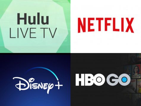 Streaming Service Competition Grows