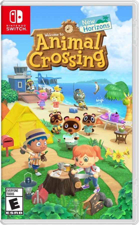Build a Community with Animal Crossing: New Horizons