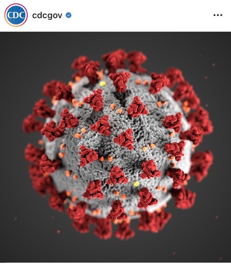 A close up of the coronavirus that is causing the cancellation of peoples normal routines.
Photograph via Instagram @cdcgov.