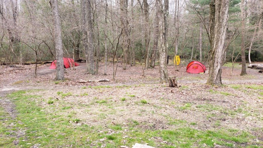 A group of tents set up to sleep in for the night on the Appalachian Trail. Photo via Kylie Vantassel.