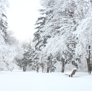 Students Consider New vs. Old Snow Days