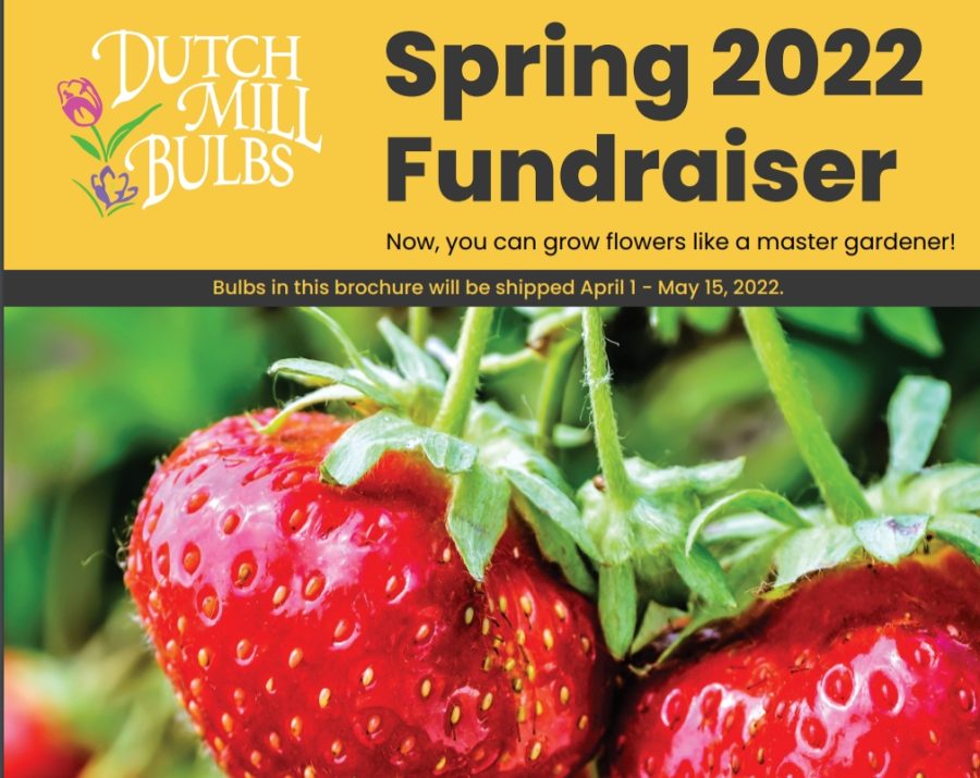 Garden Club Sells Bulbs to Fund Vegetable Garden