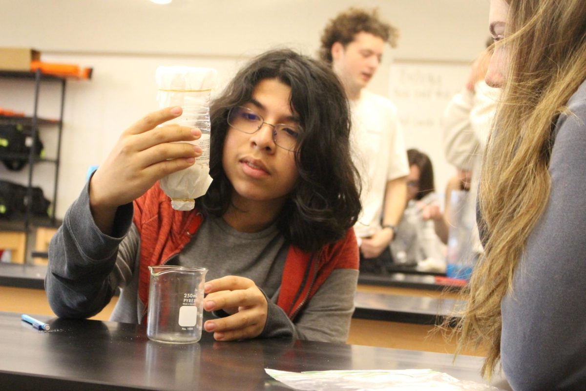 Freshman Samuel Vivas looks at their water filter before pouring the water in. The filters are made up of layers of sawdust, pebbles, sand, coffee filters, and other materials provided by the teacher. Photograph by Lachlan Gemmill-Edwards
