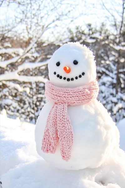 Picture of a snowman. Image courtesy of Home Beauty Haven on Pinterest