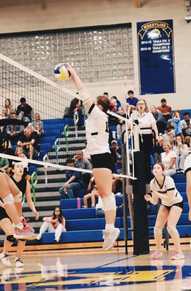 Mallory Billet blocking a Kennard-Dale player getting Susky a point 
Photograph courtesy Mallory Billet