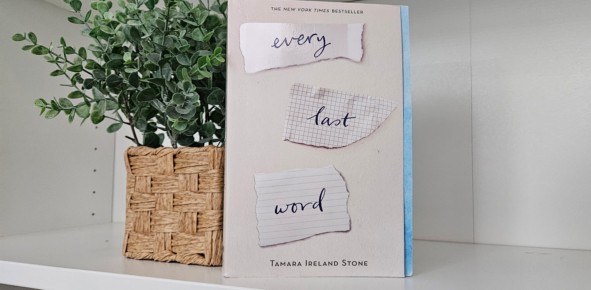 “Every Last Word” sits, displayed on a book shelf. Photograph by Lilly Kruzic