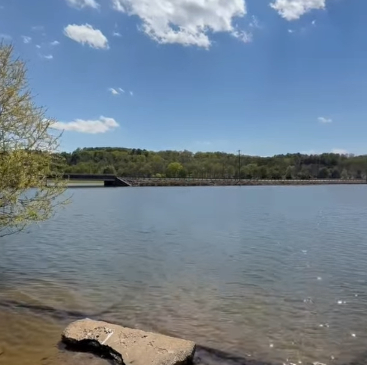 Dive into Summer Fun